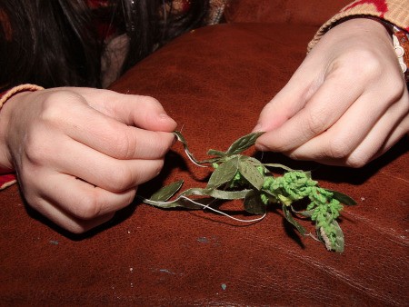 Little Shop of Horrors Costumes - ring of leaves to go around the dog's snout