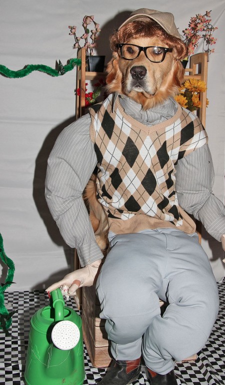 Little Shop of Horrors Costumes - dog as Seymour