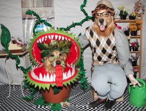 Little Shop of Horrors Costumes - dog dressed up as plant and one as Seymour