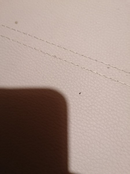 Identifying Bugs on New Bed