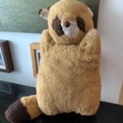Finding a Replacement for a Vintage Stuffed Raccoon - tubby raccoon