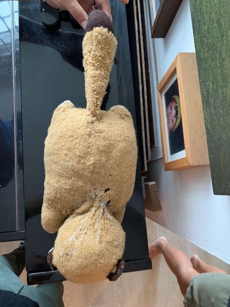 Finding a Replacement for a Vintage Stuffed Raccoon