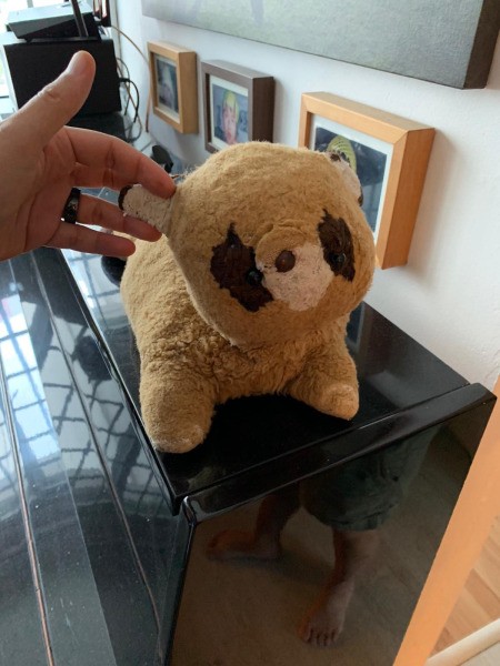 Finding a Replacement for a Vintage Stuffed Raccoon