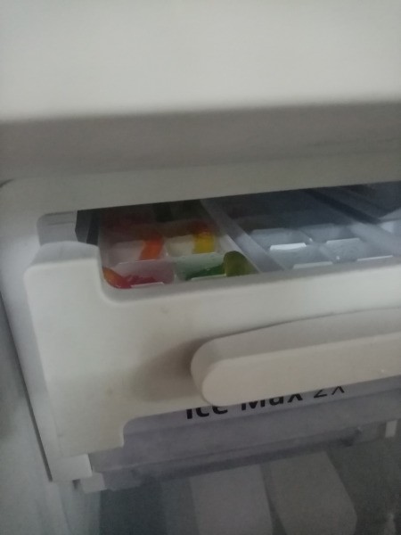 Worm Ice Cubes - freeze until set