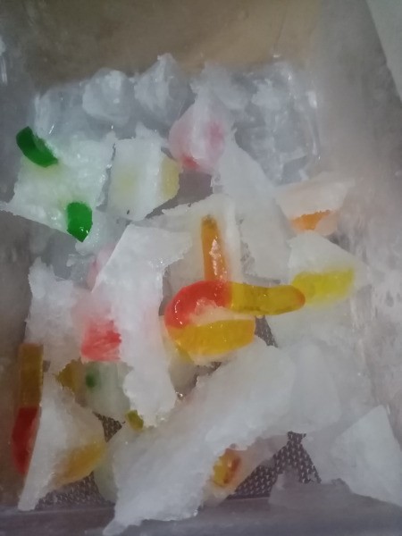 Worm Ice Cubes - remove from trays and make more if desired