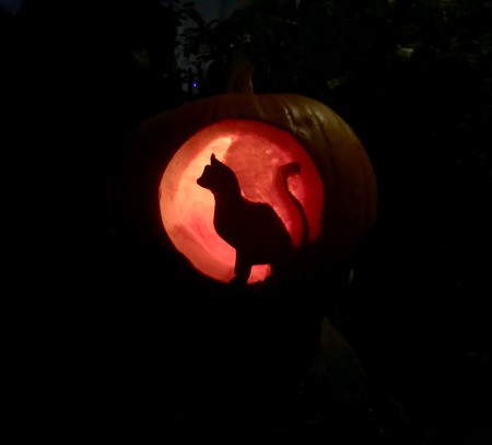 A cat silhouette carved into a pumpkin for Halloween.