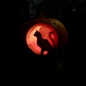 A cat silhouette carved into a pumpkin for Halloween.