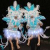 Ice Phoenix Costumes - two women wearing the costumes