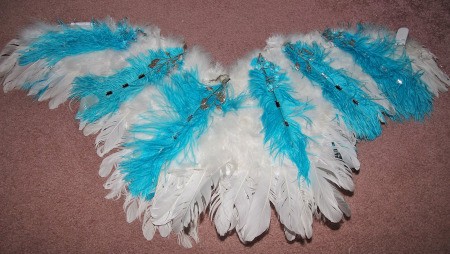 Ice Phoenix Costumes - wings
