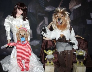 Labyrinth Movie Costumes - finished scene