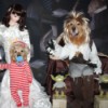 Labyrinth Movie Costumes - finished scene