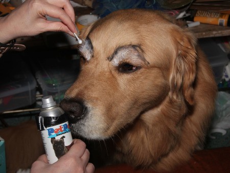 Labyrinth Movie Costumes - applying makeup to the dog's face