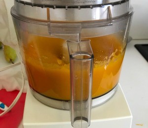 Butternut Squash Puree in blender