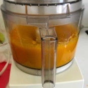 Butternut Squash Puree in blender