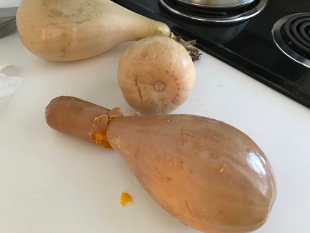 cooked Butternut Squash