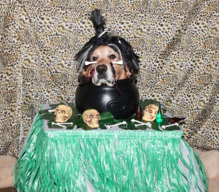 Witch Doctor and Shrunken Head  Costumes - finished shrunken head table with the dog in costume