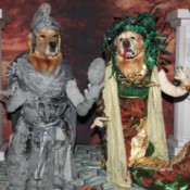 A dog dressed as Medusa and another dressed as a soldier being turned to stone.