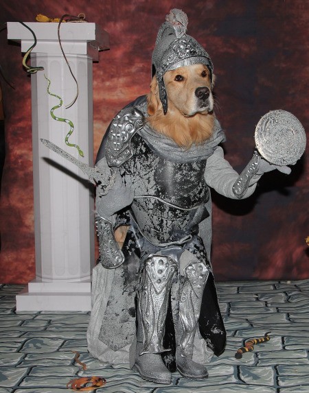 A dog dressed as a stone soldier.