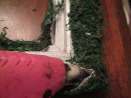 Moss Trim Picture Frame Wreath - gluing moss to frame