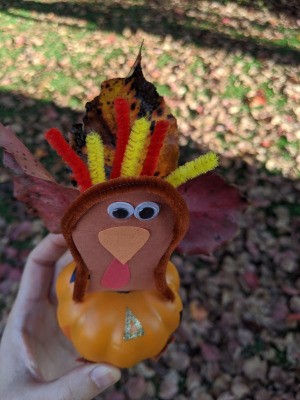 Turkey Pumpkin - hand holding a small turkey pumpkin