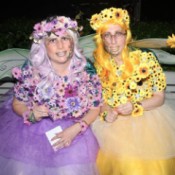 Enchanting Flower Fairies - fairies sitting next to each other