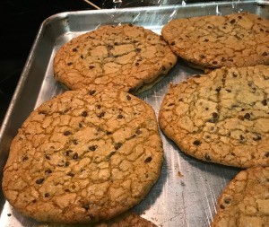 Gigantic Chocolate Chip Cookies on tray