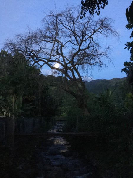 New Moon Rising - moon rise on Tahiti