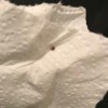 Identifying Small Brown Bugs - bug on paper towel