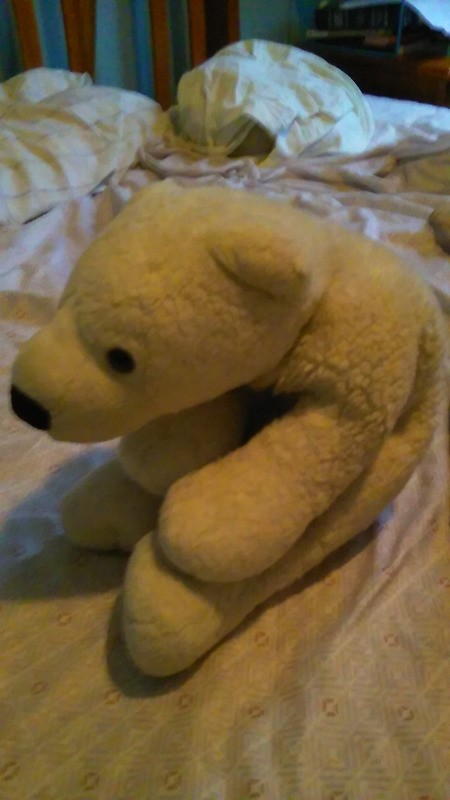 Identifying a Stuffed Toy