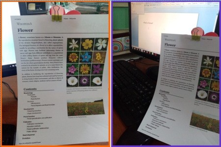 Flower Foam Pen Case and Stand - clip with papers attached