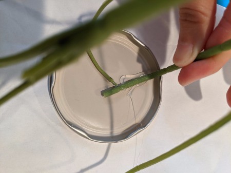 Baby Succulent Christmas Tree - glue the stems to the jar lid