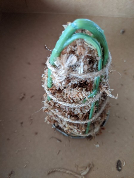 Baby Succulent Christmas Tree - tie rope/twine around it to secure the moss