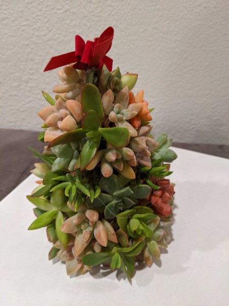 Baby Succulent Christmas Tree