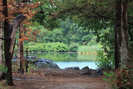 A lake and trees in Oklahoma.