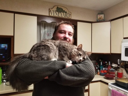 Zelda (Mixed Breed Cat) - man holding a pretty cat