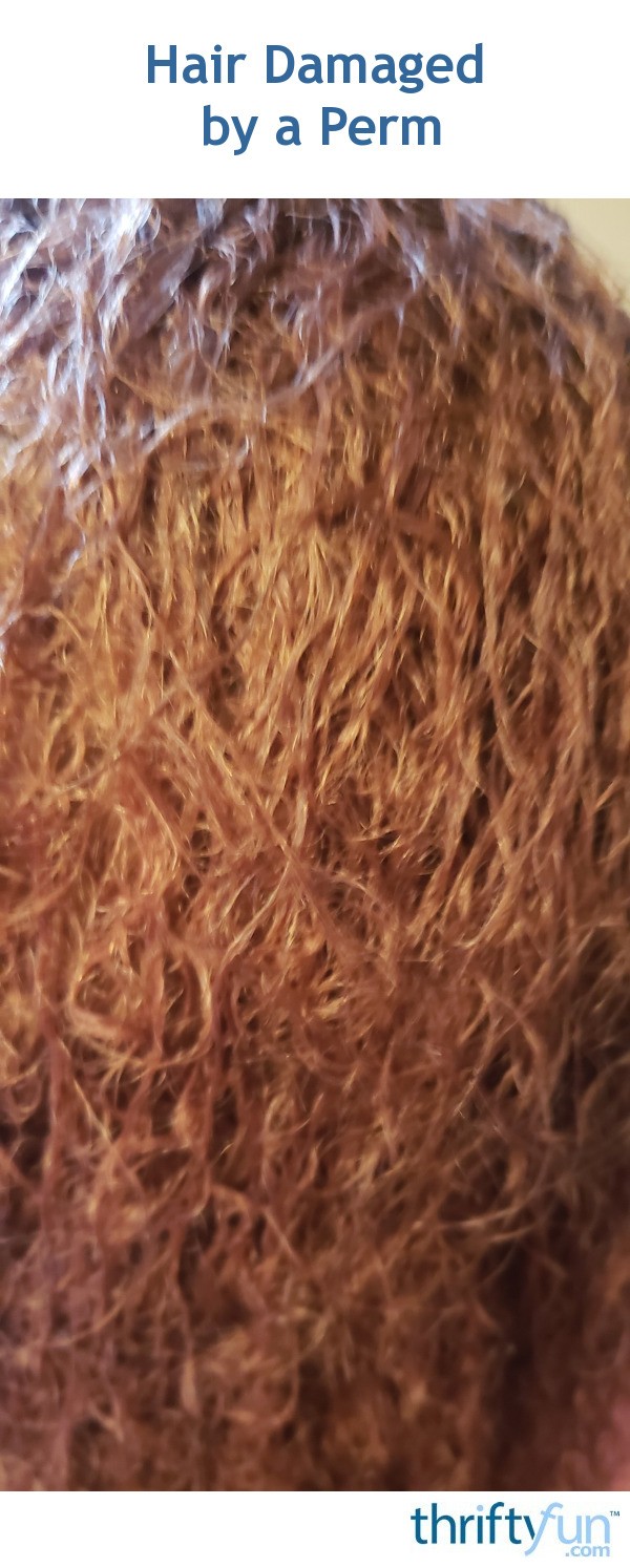 Hair Damaged by a Perm? | ThriftyFun