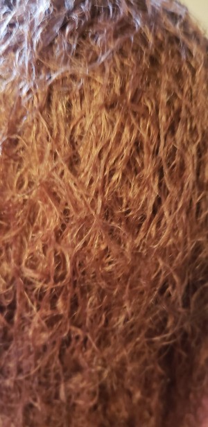 Hair Damaged by a Perm - coarse looking permed hair