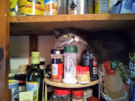 Mommy's Little Helper - Fuzzy in with the spices