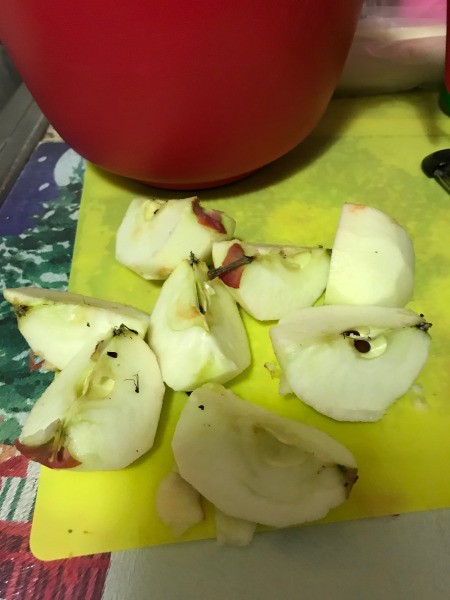 cut apples