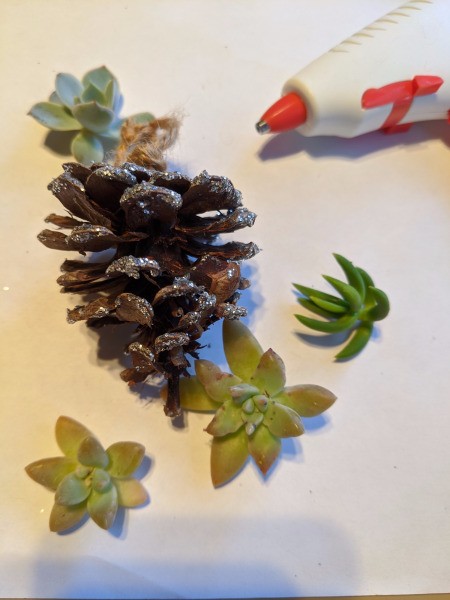 Succulent Pinecone Ornament - supplies