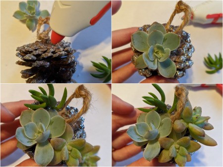 Succulent Pinecone Ornament - adding succulents