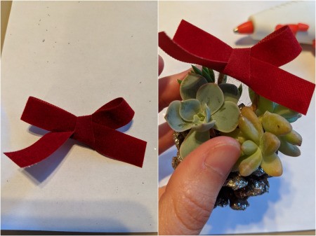 Succulent Pinecone Ornament - add a bow