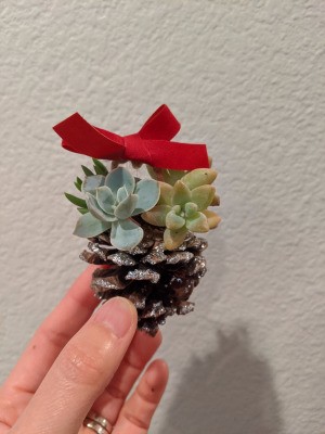 Succulent Pinecone Ornament - hand holding up the decorated cone ornament