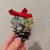 Succulent Pinecone Ornament - hand holding up the decorated cone ornament
