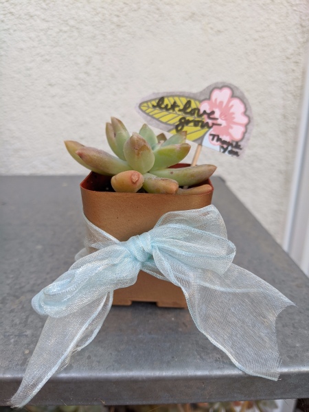 Let Love Grow Wedding Favor Gift - finished favor