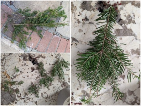 Christmas Tree Hat - live tree greenery