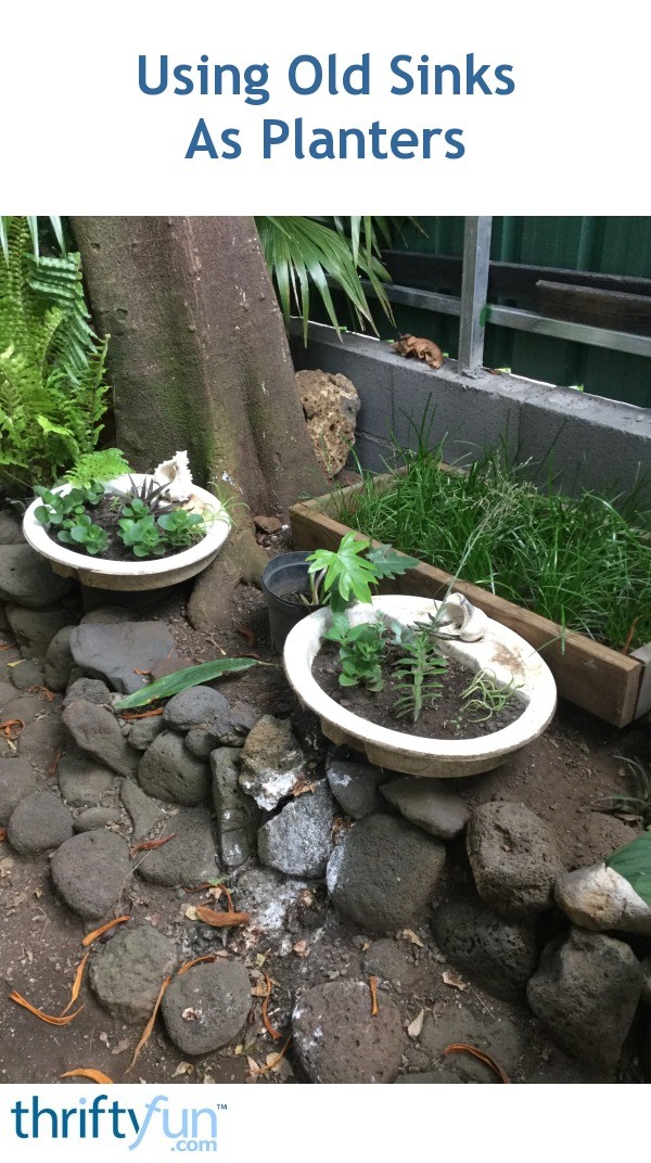 Using Old Sinks As Planters ThriftyFun