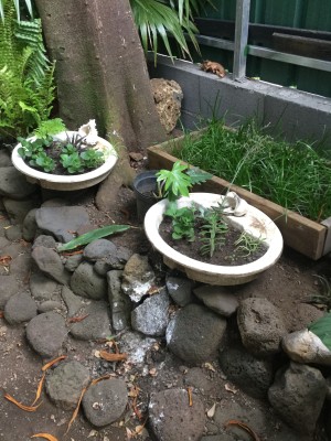 Using Old Sinks As Planters - old sinks planted with succulents sitting up on a garden wall