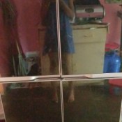 Refrigerator Not Cold Enough - front of fridge with reflection of person taking photo
