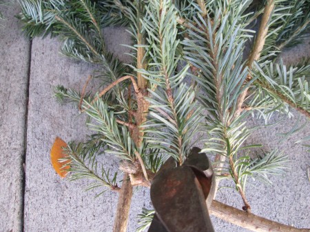 Tree trimmings from a Christmas tree.